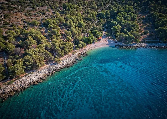 Nest Ciovo *